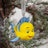 Disney Christmas By Widdop And Co Hanging Ornaments - Little Mermaid Set Of 3