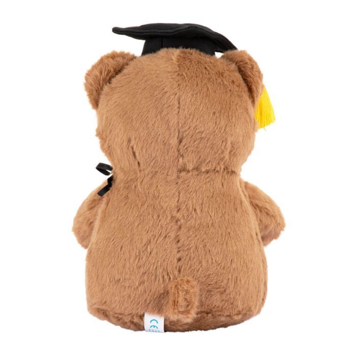 With Heart Graduation Bear With Message Card - Medium