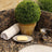 White Magic - Eco Basics Soap Dish Charcoal