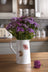 Royal Worcester Wrendale Jug - Poppy