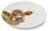 Royal Worcester Wrendale Designs Coupe Plates - Cow, Donkey, Duckling, Sheep (Set of 4)