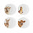 Royal Worcester Wrendale Coupe Plates - Cow, Donkey, Duckling, Sheep (Set of 4)