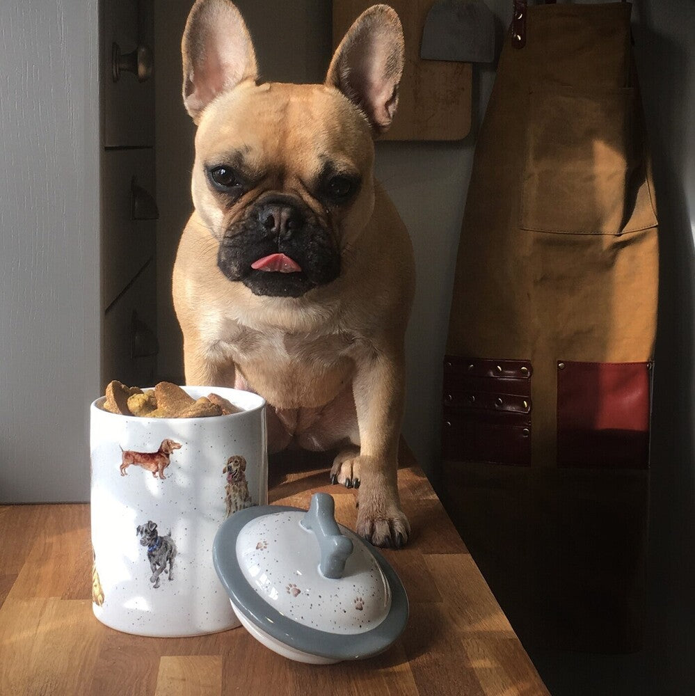 Royal Worcester Wrendale Dog Treat Jar