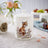 Royal Worcester Wrendale Lidded Storage Jar - Make My Daisy (Medium)