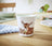 Royal Worcester Wrendale 190mL Beaker - Woodland Animals