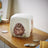 Royal Worcester Wrendale Money Box - Woodland Animals