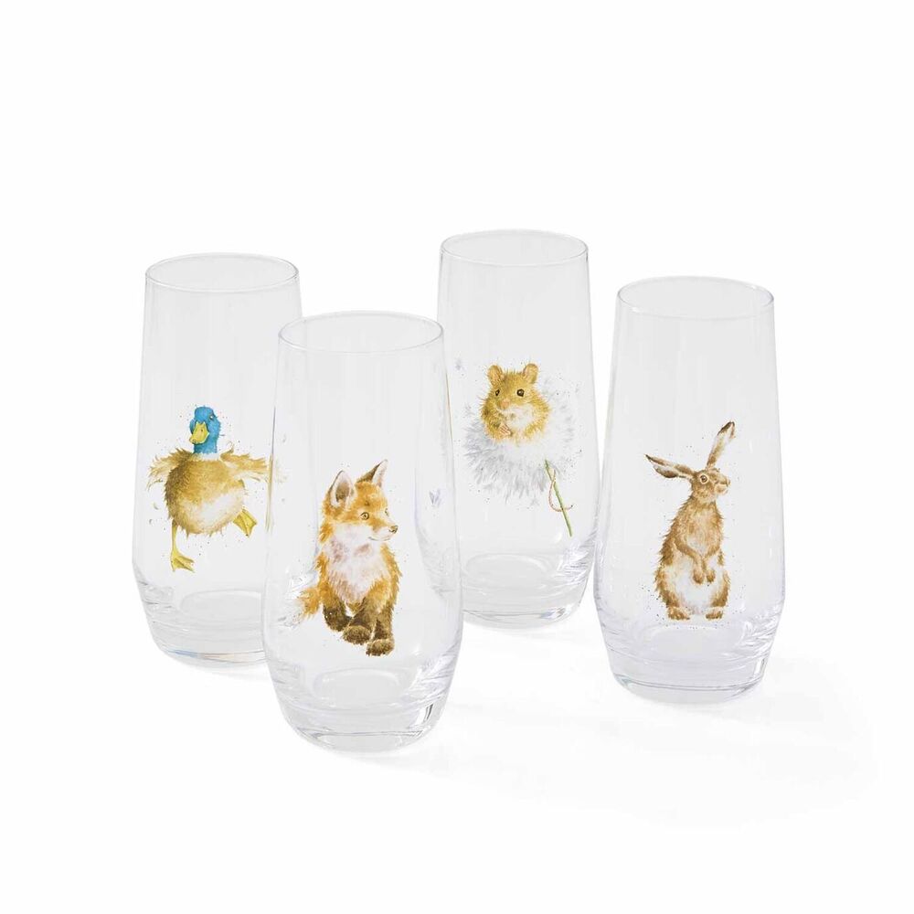 Royal Worcester Wrendale Designs Highball Glasses (Set of 4)
