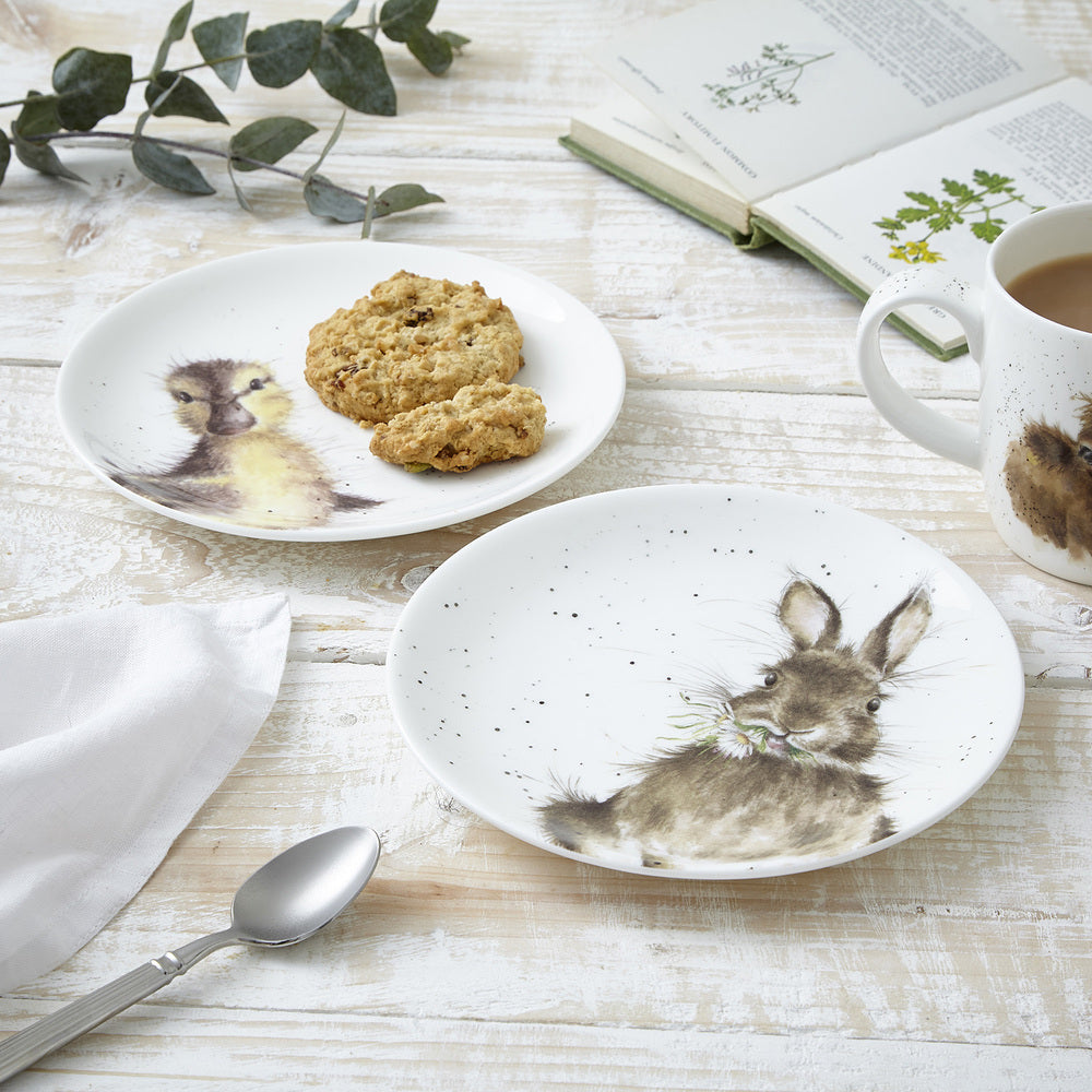 Royal Worcester Wrendale Coupe Plates - Set Of 2