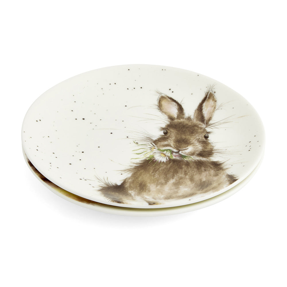 Royal Worcester Wrendale Coupe Plates - Set Of 2