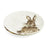 Royal Worcester Wrendale Coupe Plates - Set Of 2