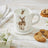 Royal Worcester Wrendale Mug & Coaster Set - Gentle Jack