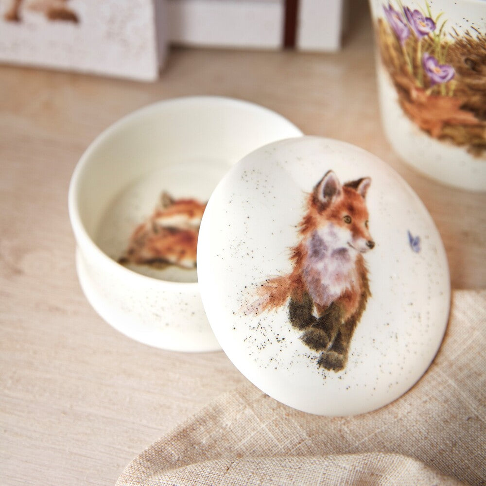 Royal Worcester Wrendale Lidded Box - Born To Be Wild