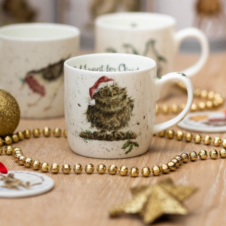 Royal Worcester Wrendale Owl I Want For Christmas Mug