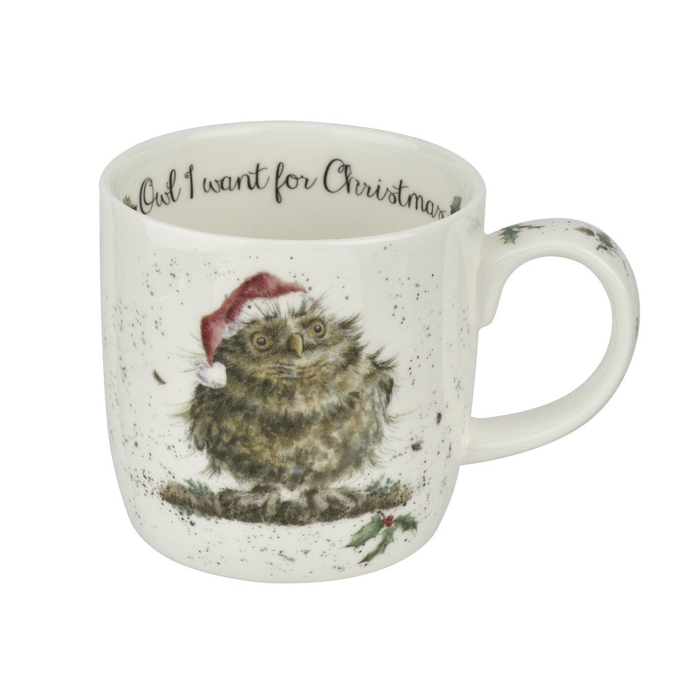 Royal Worcester Wrendale Owl I Want For Christmas Mug