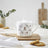 Royal Worcester Wrendale 1.13L Teapot - Oops A Daisy