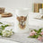 Royal Worcester Wrendale Vase - Daisy Coo