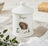 Royal Worcester Wrendale Sugar Canister - A Prickly Encounter