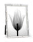 Whitehill Studio - Silver Plated Photo Frame - Bamboo 5x7inch