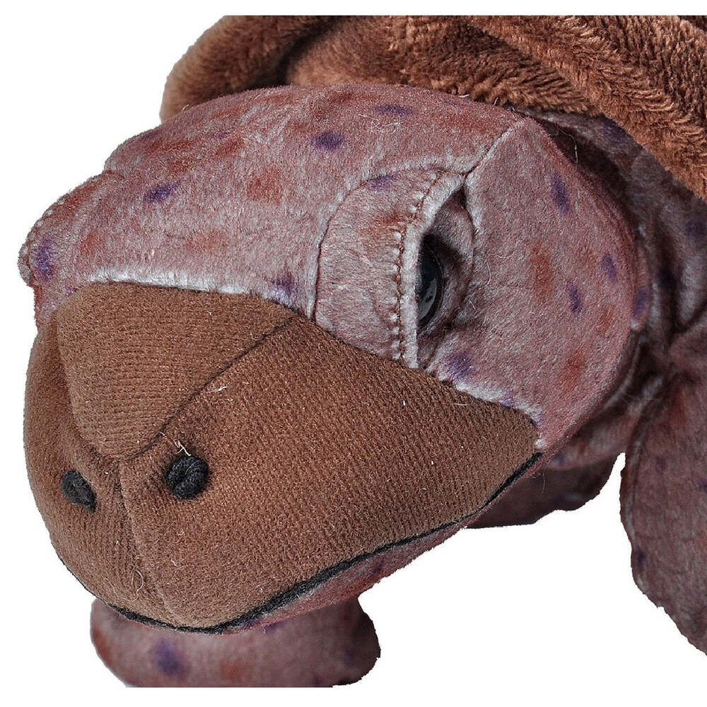 Wild Republic Cuddlekins - Tortoise 12inch