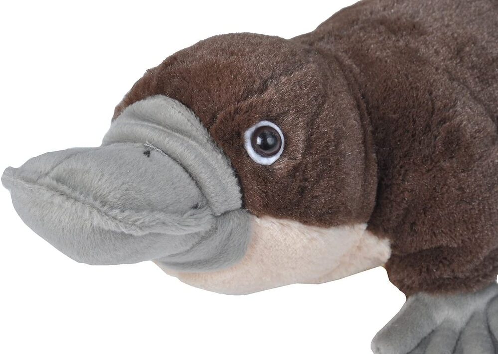 Wild Republic Cuddlekins - Platypus 12"
