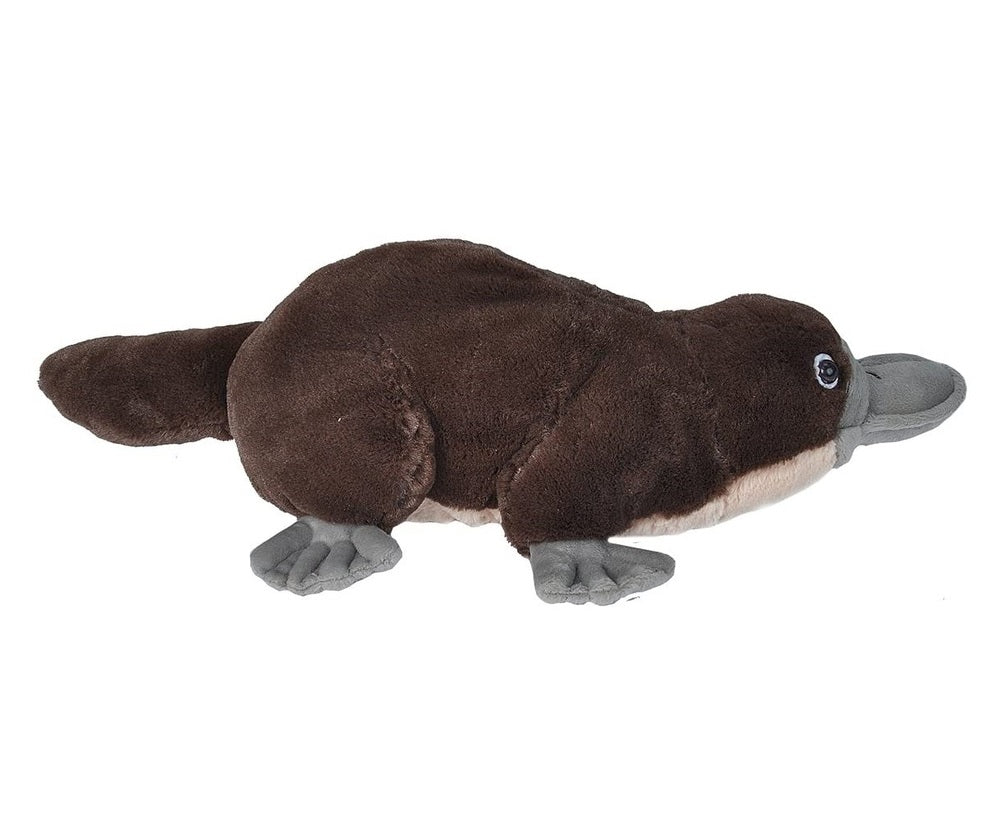 Wild Republic Cuddlekins - Platypus 12"