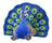 Wild Republic Cuddlekins - Peacock 12inch