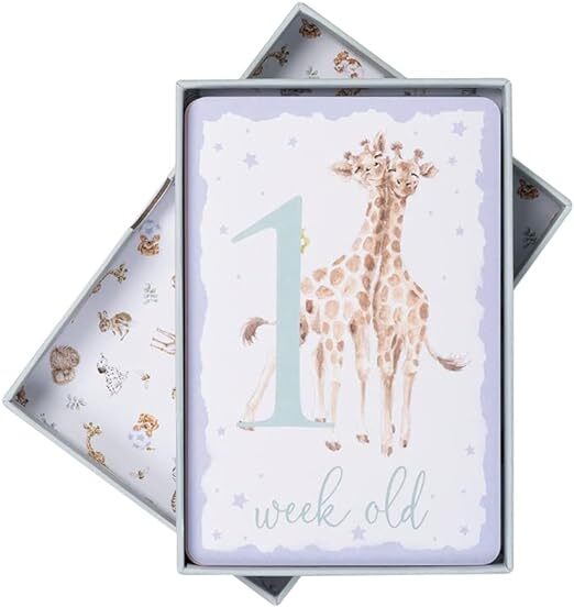 Wrendale Designs - Keepsake Milestone Cards