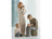 Willow Tree Family Grouping - Family 7