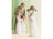 Willow Tree Family Grouping - Family 21