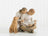 Willow Tree Family Grouping - Family 32