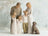 Willow Tree Family Grouping - Family 35