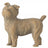 Willow Tree Family Grouping - Family 38
