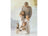 Willow Tree Family Grouping - Family 43