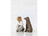 Willow Tree Family Grouping - Family 47