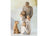 Willow Tree Family Grouping - Family 57