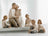 Willow Tree Family Grouping - Family 62