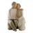 Willow Tree Family Grouping - Family 70