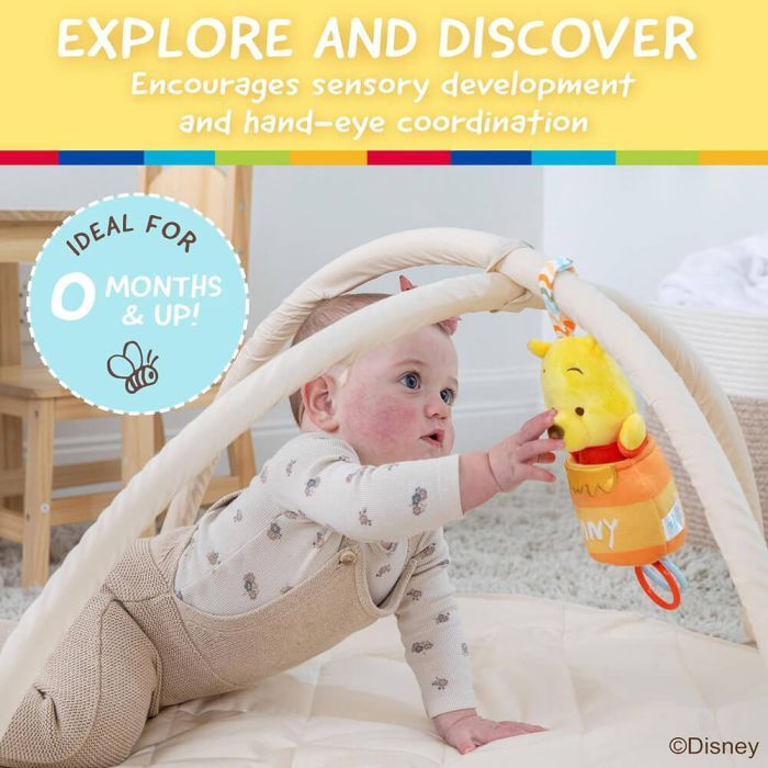 Disney Baby - Winnie the Pooh - Pull Down Honey Pot Ziggle Toy