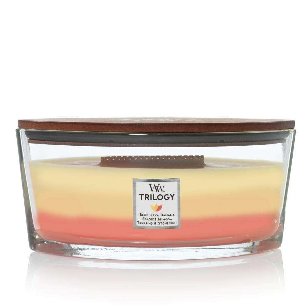 WoodWick Candle - Ellipse Trilogy Tropical Sunrise