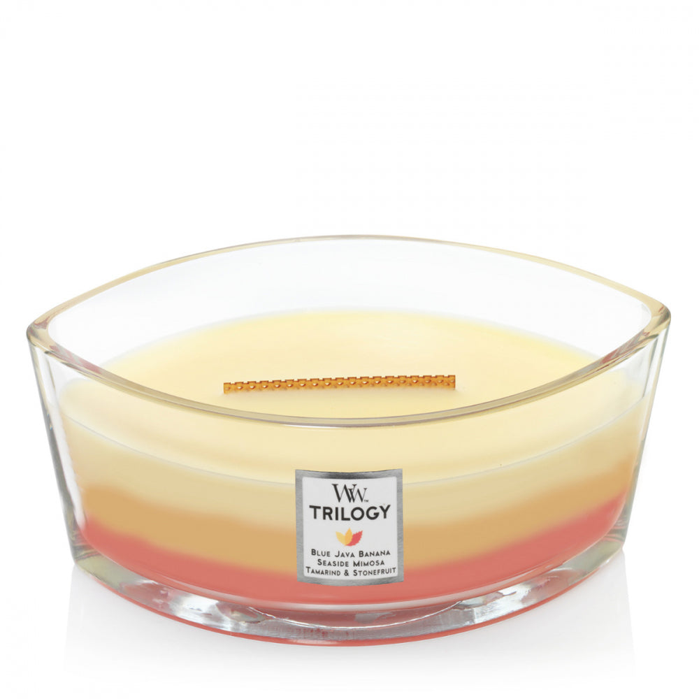 WoodWick Candle - Ellipse Trilogy Tropical Sunrise