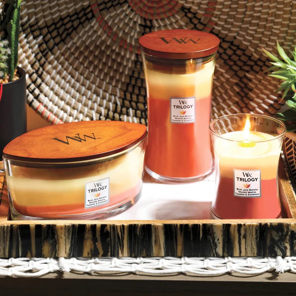 WoodWick Candle - Medium Trilogy Tropical Sunrise