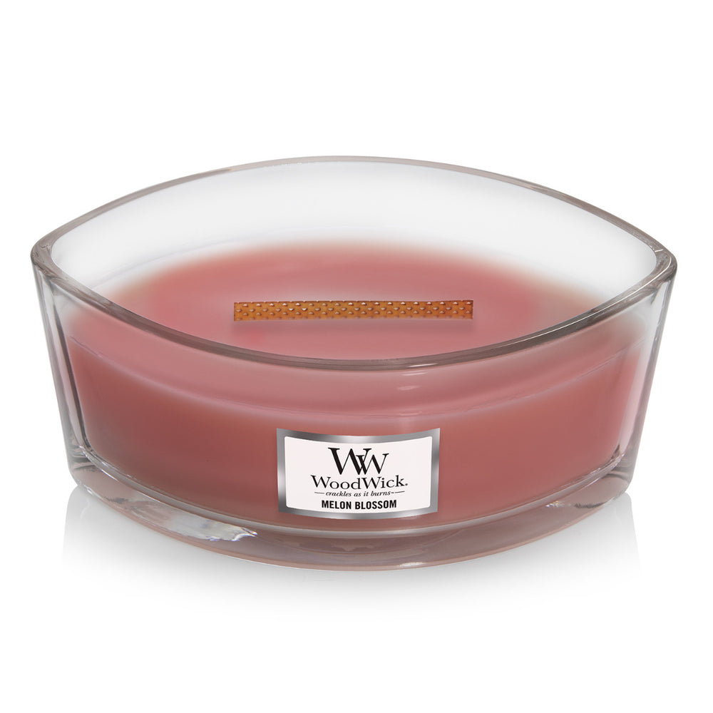 WoodWick Ellipse Candle - Melon Blossom