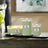WoodWick Candle - Medium Whipped Matcha