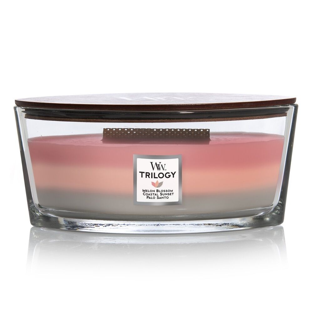 WoodWick Candle - Ellipse Trilogy Shoreline