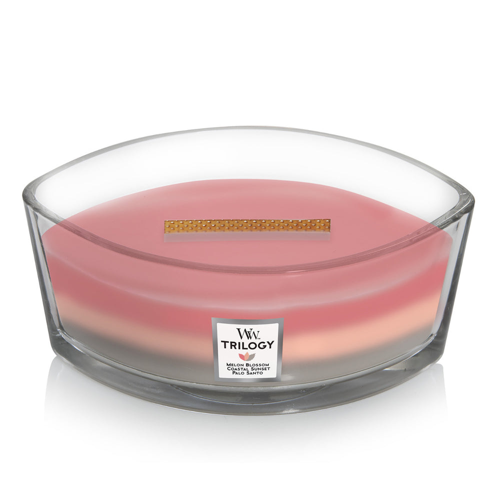 WoodWick Candle - Ellipse Trilogy Shoreline