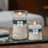 WoodWick Candle - Medium Trilogy Icy Woodland