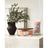 WoodWick Candle - Ellipse Yuzu Blooms