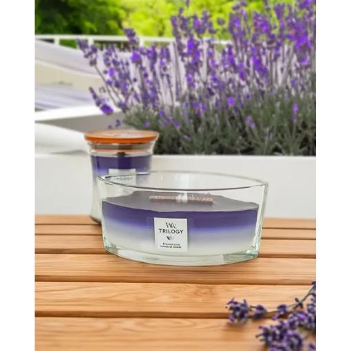 WoodWick Candle - Ellipse Trilogy Evening Luxe