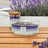 WoodWick Candle - Medium Trilogy Evening Luxe