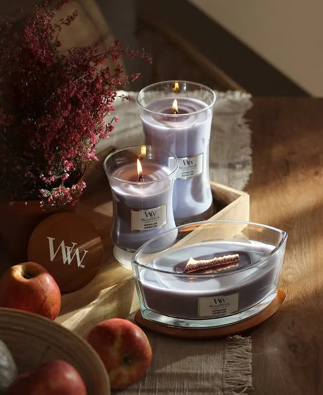 WoodWick Candle - Ellipse Hypnoflora